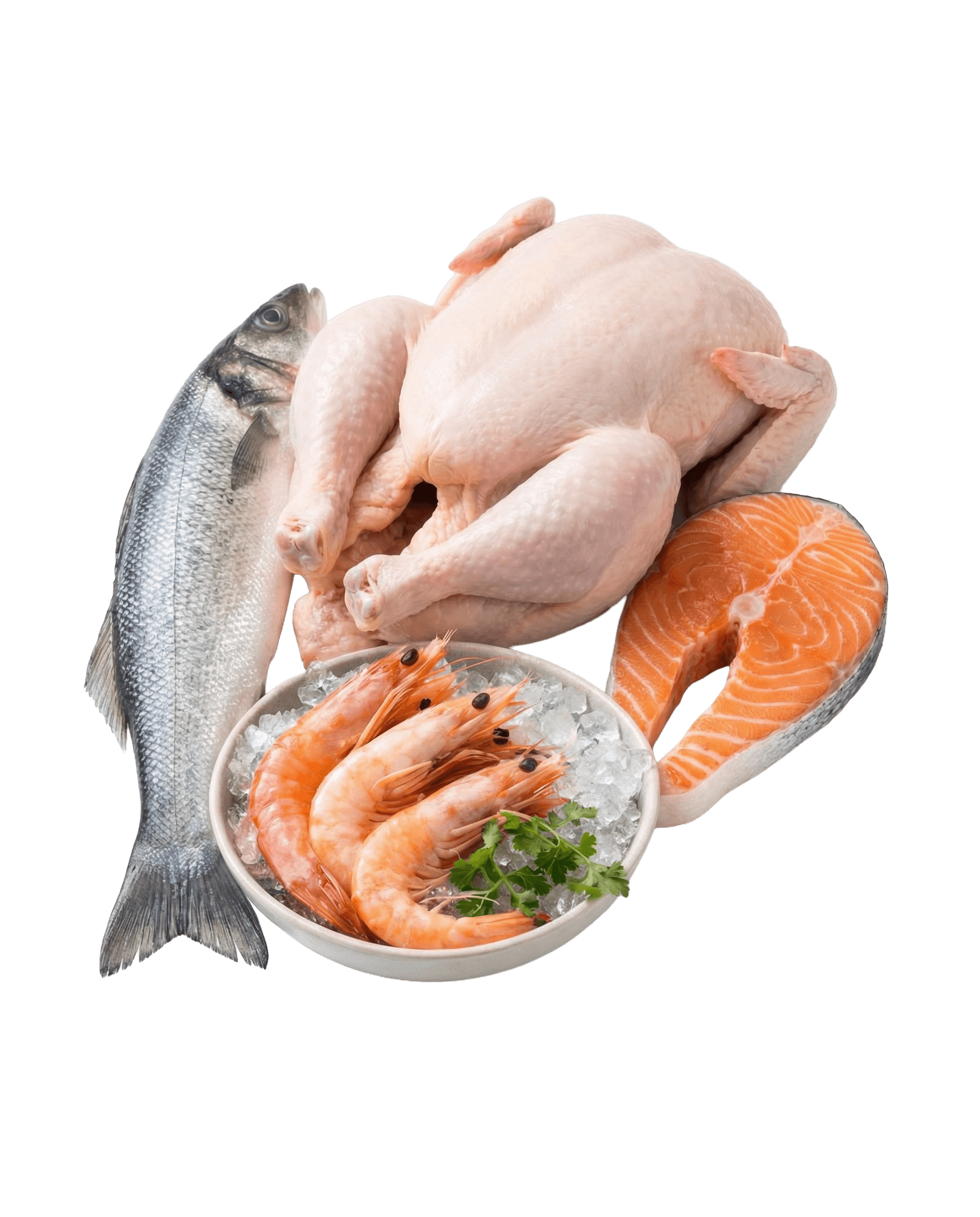 בשר, עופות ודגים